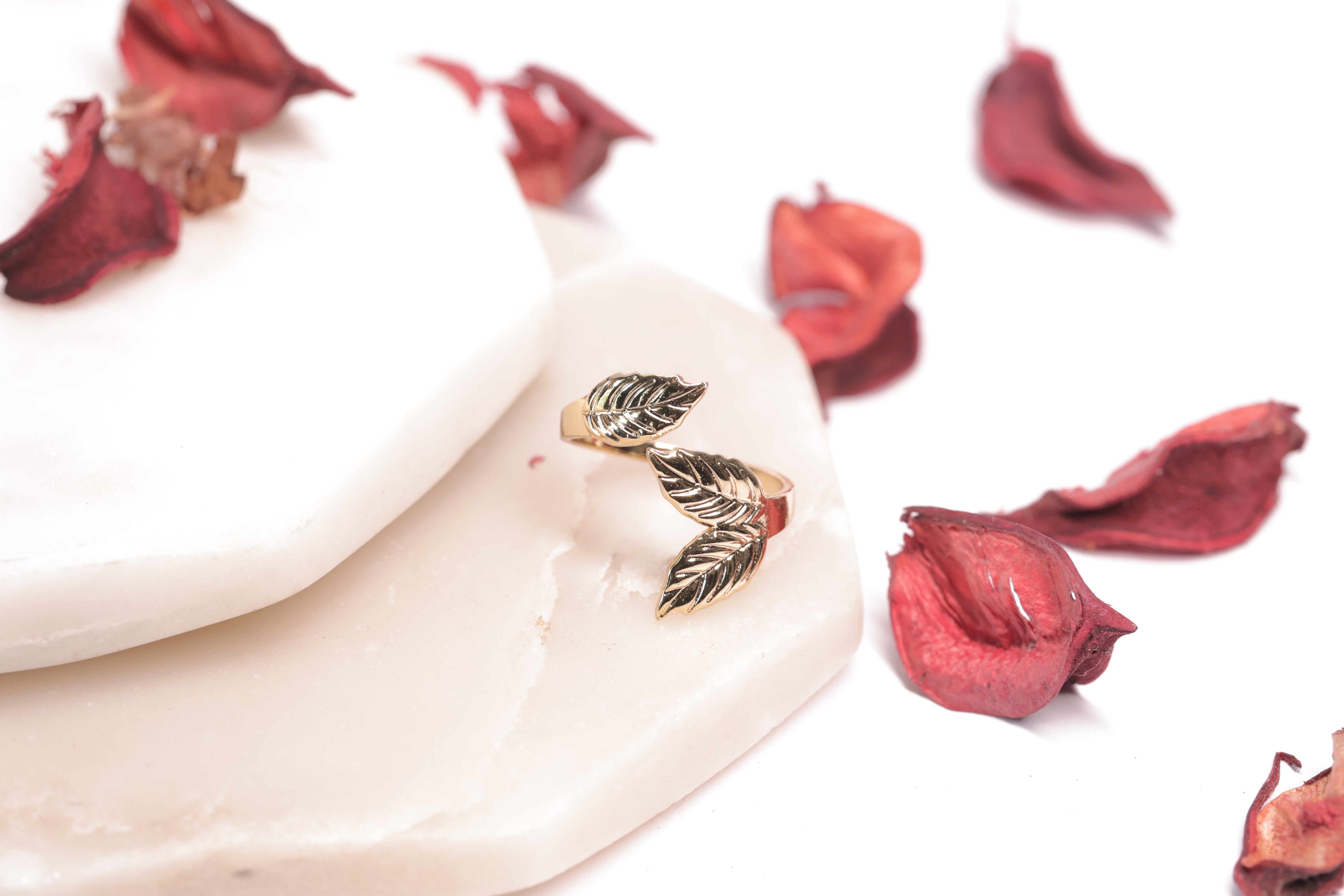 Gold Leaf Kiss
